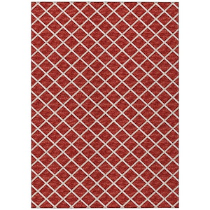 York - Area Rug in Red Finish-Multiple Sizes - 1301644