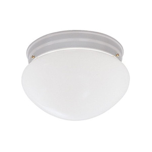 2 Light Flush Mount With Satin Etched Glass Globe