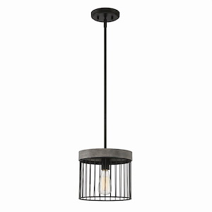 Aster - 1 Light Pendant-9 Inches Tall And 10 Inches Wide - 1090867
