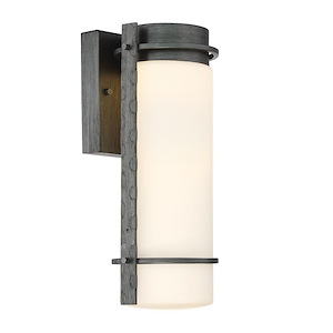 Aldridge - 13.5 Inch 10W 1 Led Outdoor Wall Lantern