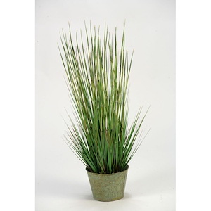 Onion Grass - Round Planter-41 Inches Tall and 21 Inches Wide