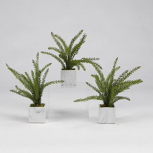 Heather Fern - Cube Planter (Set of 3)-13 Inches Tall and 11 Inches Wide