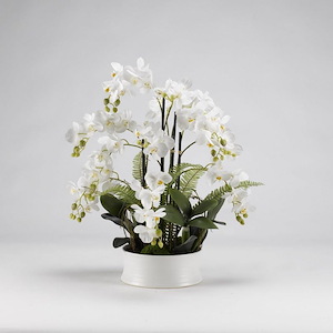 Orchids - Round Dish-28 Inches Tall and 20 Inches Wide