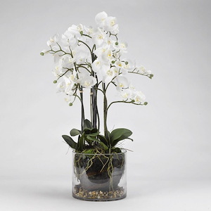 Orchids - Planter-36 Inches Tall and 18 Inches Wide