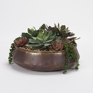 Assorted Echeveria And Cedum - Bowl-10 Inches Tall and 18 Inches Wide