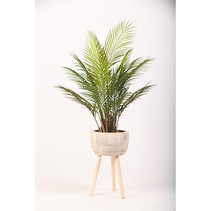 Palm - Planter with Legs-42 Inches Tall and 25 Inches Wide