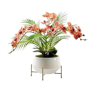 Phael Orchids - Bowl with Stand-20 Inches Tall and 20 Inches Wide