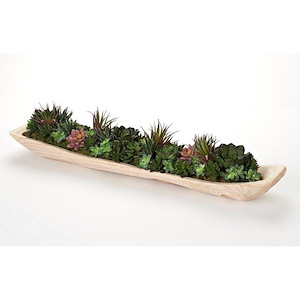 Succulent Boat - Tray-7 Inches Tall and 7 Inches Wide