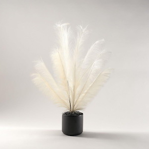 Two Tone Cream Plume Spray - Medium Pot-36 Inches Tall and 22 Inches Wide