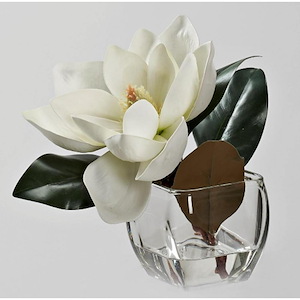 Eva Magnolia Stem - Square Vase-10 Inches Tall and 11 Inches Wide
