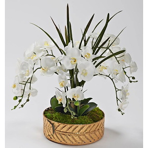 Orchids and Areca Grass - Planter-27 Inches Tall and 26 Inches Wide