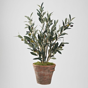 Olive Spray - Planter-31 Inches Tall and 20 Inches Wide