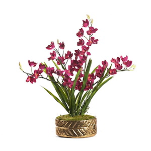 Cymbidium - Planter-29 Inches Tall and 28 Inches Wide