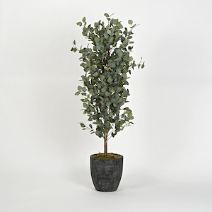 Eucalyptus Tree - Round Planter-60 Inches Tall and 25 Inches Wide
