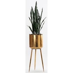 Sansevieria Plant - Planter with Legs-58 Inches Tall and 16 Inches Wide