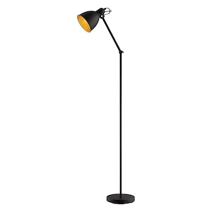 Priddy 2 - 1-Light Floor Lamp - Black Finish - Black Exterior Gold Interior Shade