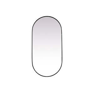 Asha - Oval Mirror-48 Inches Tall and 24 Inches Wide - 1337609