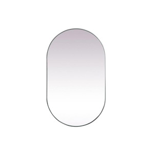 Asha - Oval Mirror-60 Inches Tall and 36 Inches Wide