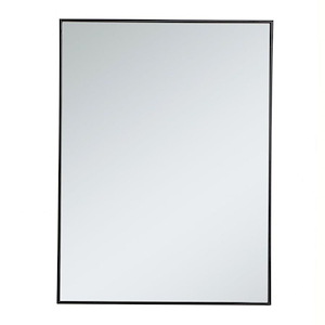 Monet - Rectangular Mirror In Contemporary Style-40 Inches Tall and 1 Inches Wide
