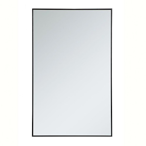 Monet - Rectangular Mirror In Contemporary Style-48 Inches Tall and 1 Inches Wide