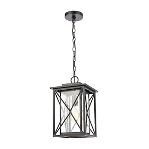Carriage Light - 1 Light Outdoor Hanging Lantern in Traditional Style with Country and Rustic inspirations - 15 Inches tall and 9 inches wide - 881500