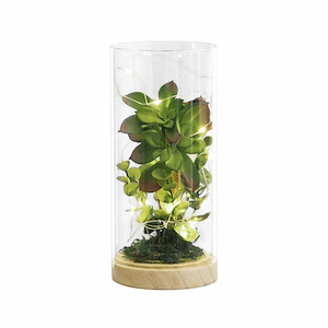 Luna - Lighting Terrarium In Traditional Style-8 Inches Tall and 3.5 Inches Wide