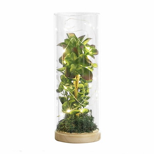Luna - Lighting Terrarium In Traditional Style-10 Inches Tall and 3.5 Inches Wide