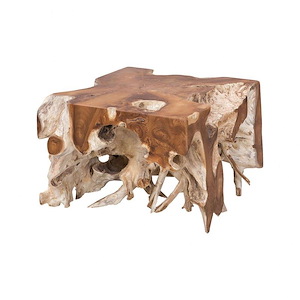 Root - Transitional Style w/ Coastal/Beach inspirations - Teak Root Cocktail Table - 15 Inches tall 24 Inches wide