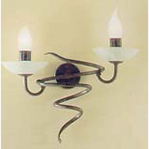 2 Light Wall Sconce-9 Inches Tall and 14 Inches Wide