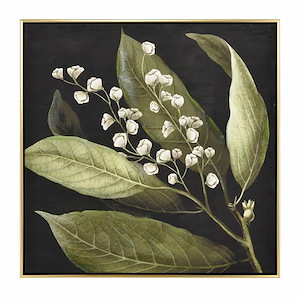 Botanical Study I - Framed Wall Art In Transitional Style-24.75 Inches Tall and 24.75 Inches Wide