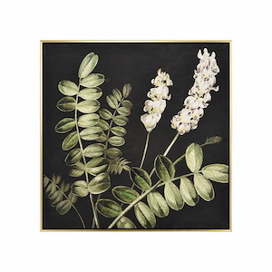 Botanical Study II - Framed Wall Art In Transitional Style-24.75 Inches Tall and 24.75 Inches Wide