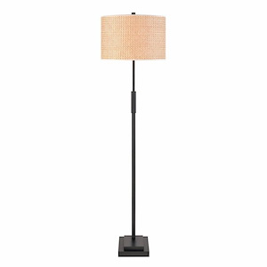 Baitz - 1 Light Floor Lamp In Modern Style-62.5 Inches Tall and 19.5 Inches Wide