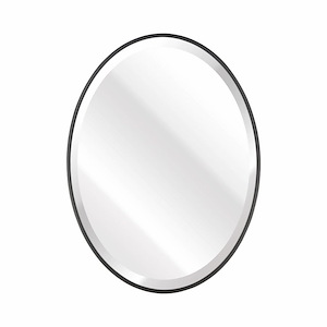 Curve - Mirror In Transitional Style-31 Inches Tall and 23 Inches Wide