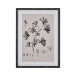 Ginkgo Botanic - Framed Wall Art In Transitional Style-24 Inches Tall and 18 Inches Wide
