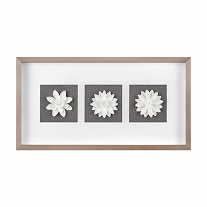 Floral Shadow - Framed Wall Art In Traditional Style-13.5 Inches Tall and 25.25 Inches Wide