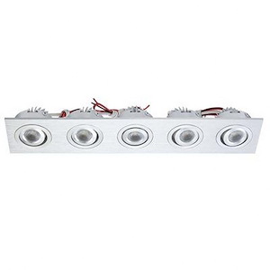Rectangular Directional Recessed Light with Driver