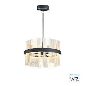 Chimes-106W 2 LED Pendant-23.75 Inches wide by 15 inches high