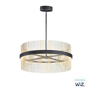 Chimes - 33.75 Inch 146W 2 LED Pendant