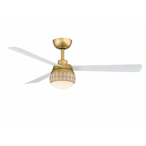 Paget - 3 Blade Indoor/Outdoor Ceiling Fan with Light Kit-16.29 Inches Tall and 52 Inches Wide