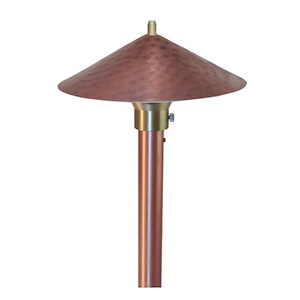 Hammered Hat Finial Area Light with Adjustable Hub