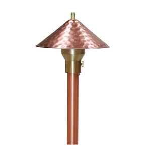 Hammered Hat Finial Area Light with Adjustable Hub