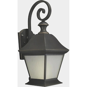 Turner - 1 Light Outdoor Wall Lantern-20.25 Inches Tall and 9 Inches Wide