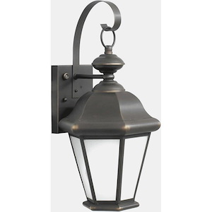 Eloise - 1 Light Outdoor Wall Lantern-17 Inches Tall and 8.5 Inches Wide