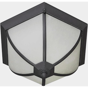 Ty - 2 Light Outdoor Flush Mount-8.5 Inches Tall and 14.5 Inches Wide