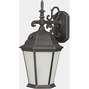Oliver - 1 Light Outdoor Wall Lantern-16 Inches Tall and 8 Inches Wide