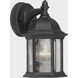 Chester - 1 Light Outdoor Wall Lantern-9.5 Inches Tall and 5 Inches Wide - 1097102