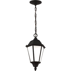 Bakersville-1 Light Outdoor Pendant in Traditional Style-7.88 Inch wide by 14.44 Inch high - 930935