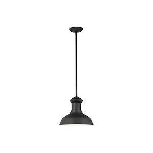 Sea Gull Lighting-Fredricksburg-One Light Outdoor Pendant in Traditional Style-13.25 Inch wide by 11.31 Inch high