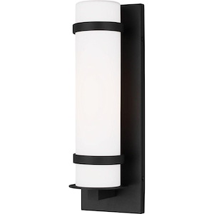 Alban-1 Light Small Outdoor Wall Lantern in Modern Style-4.5 Inch wide by 14 Inch high - 1002174