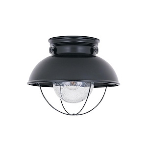 Sea Gull Lighting-Sebring Transitional 1 Light Outdoor Ceiling Fixture in Transitional Style-11 Inch wide by 9.25 Inch high - 12681
